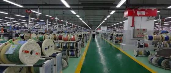 新成立4個黨支部，園區“兩新”黨組織再添生力軍——以輪胎產業為例，看黨建引領下的高質量發展