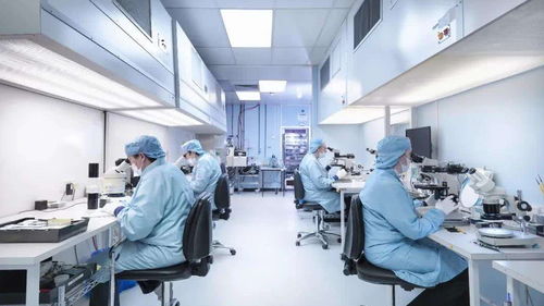 科技、地緣與生物安全 圍繞海外生物實(shí)驗(yàn)室的爭議與隱憂