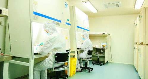 秦創(chuàng)原上話發(fā)展丨這個(gè)B+A級GMP生物實(shí)驗(yàn)室，投用在即 惟物實(shí)驗(yàn)室