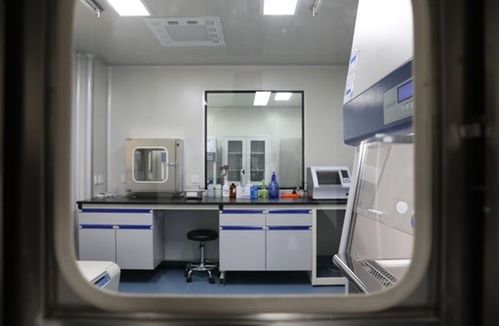 大竹縣建成二級生物安全實(shí)驗(yàn)室，每日檢測能力達(dá)200人份