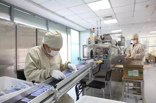 爭分奪秒 中關(guān)村生物醫(yī)藥企業(yè)實(shí)驗(yàn)室里的戰(zhàn)“疫”惟物實(shí)驗(yàn)室